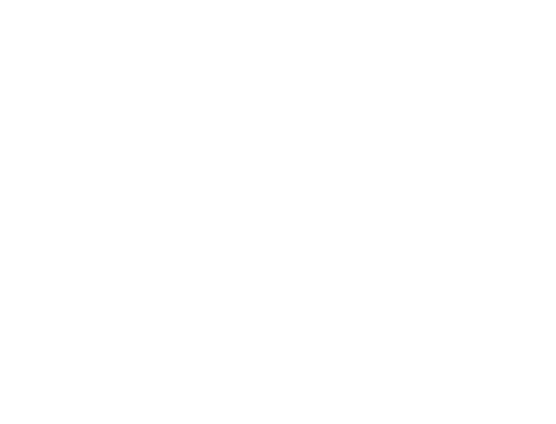 partner-plus